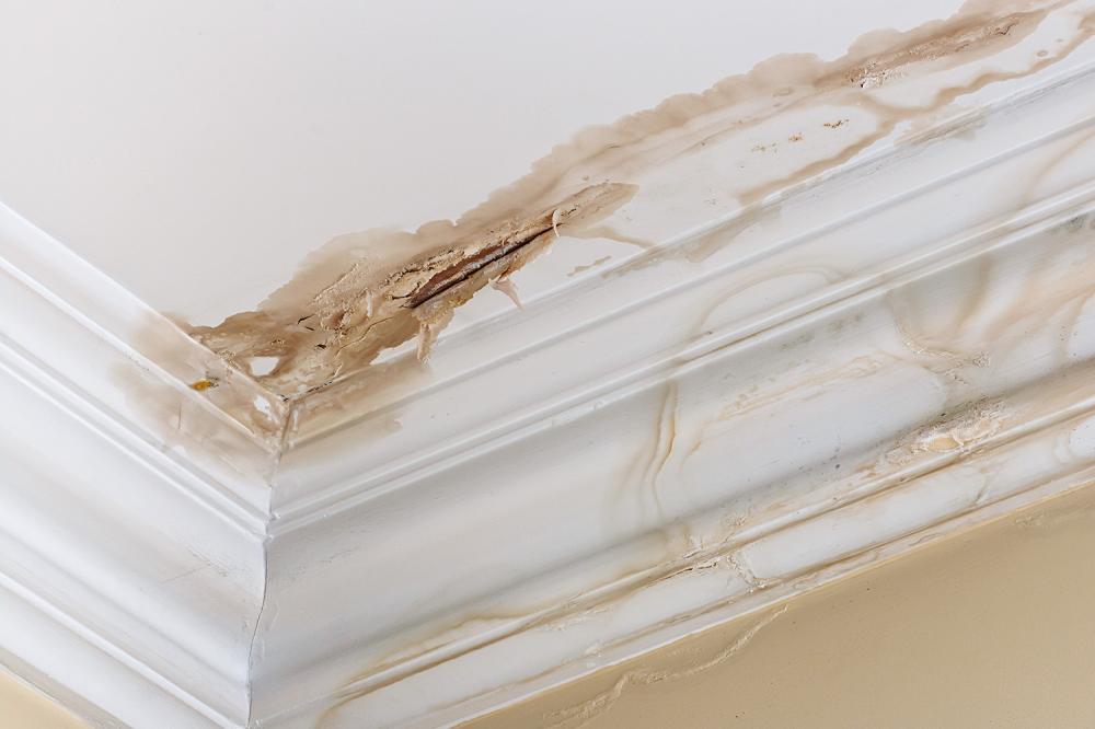 dégats-des-eaux-plafond